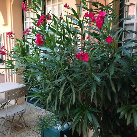 Le Coueyla Apartmán